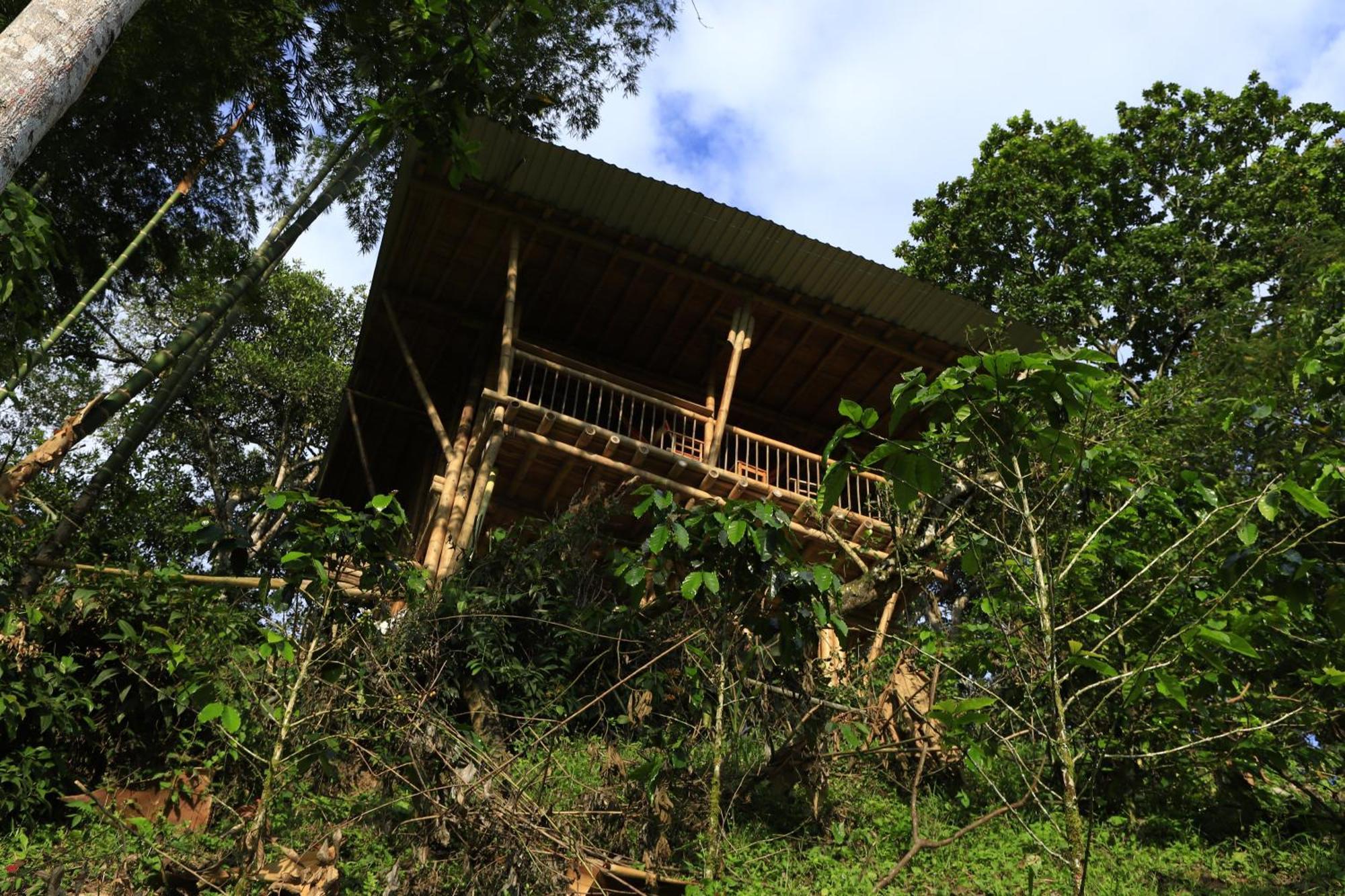 Ecohotel Monteverde La Vega  Exterior photo